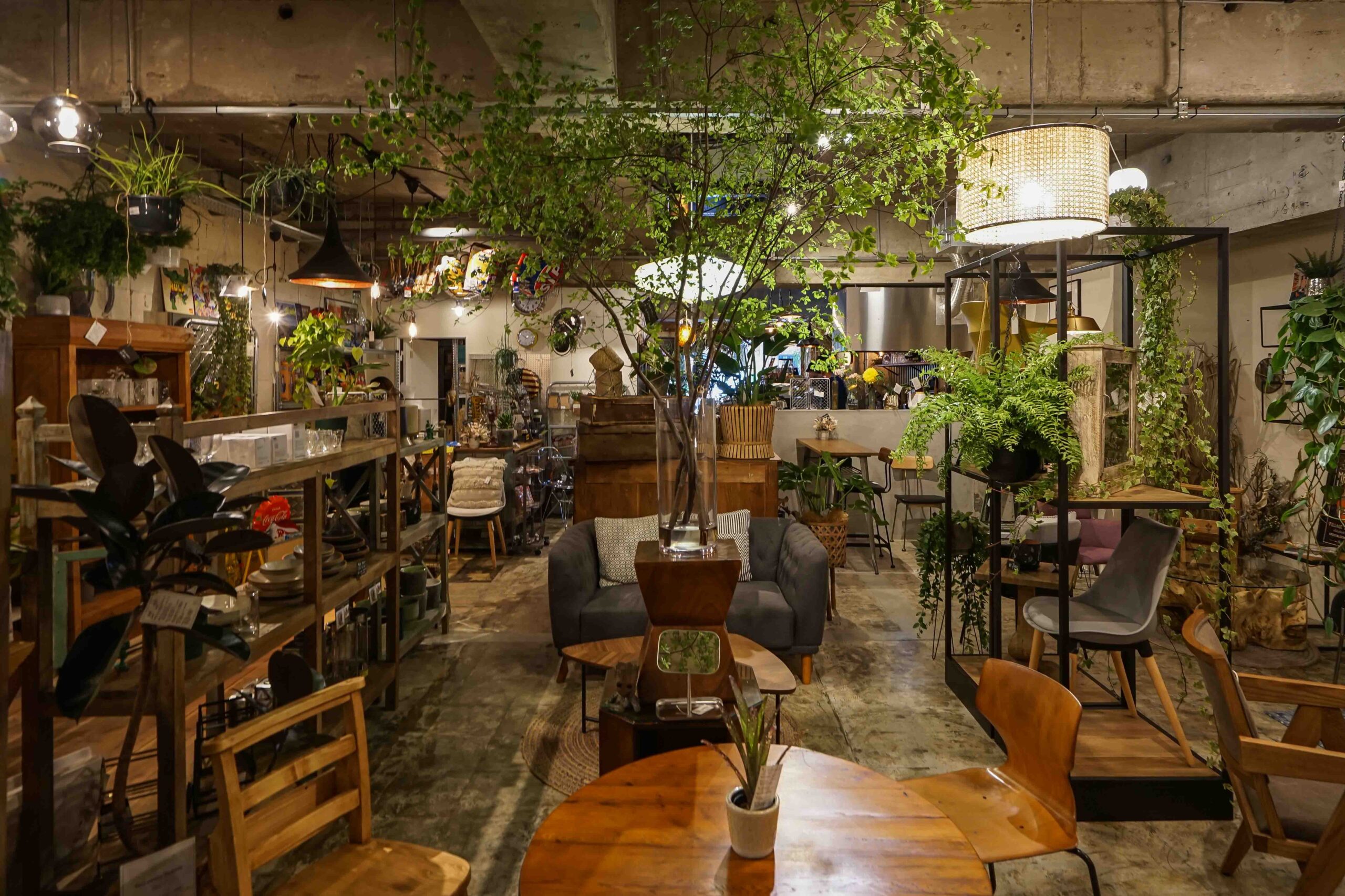 まいご屋 potara-13-scaled.jpg