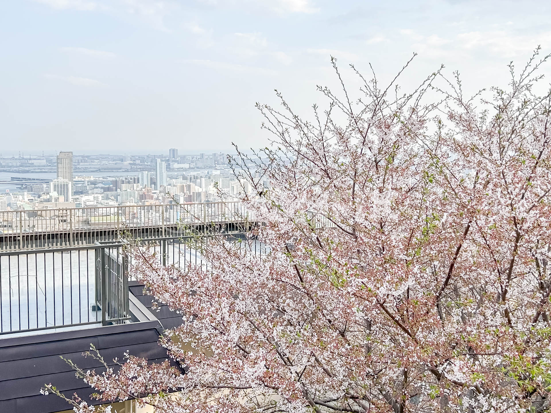 GOが推す、ここにしかない1LDK。神戸の絶景再び。– 【公式】渋井